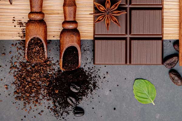 Sabors Literaris Xocolata, taller Anna Moner